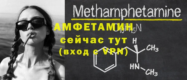 амф Верхний Тагил