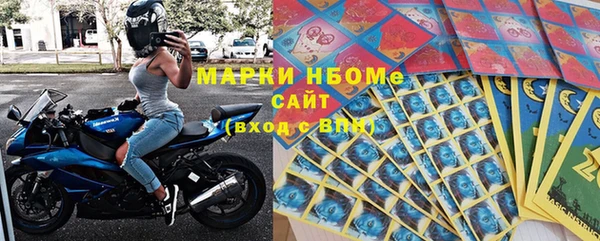 индика Верея