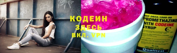 индика Верея