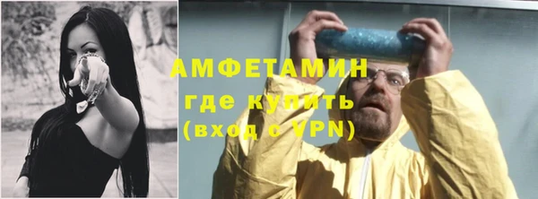 амф Верхний Тагил