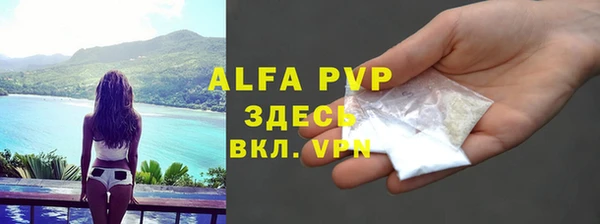 индика Верея