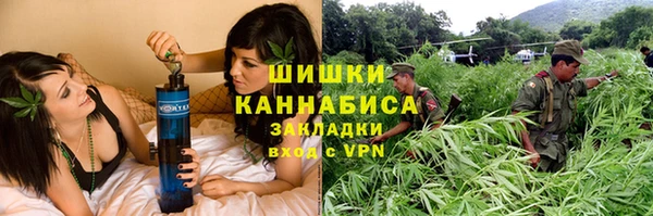 амф Верхний Тагил