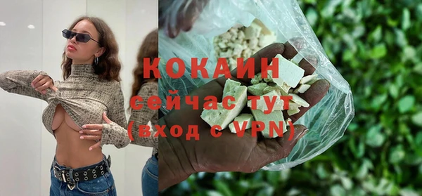 индика Верея