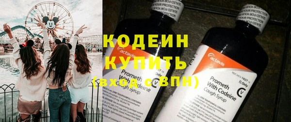индика Верея