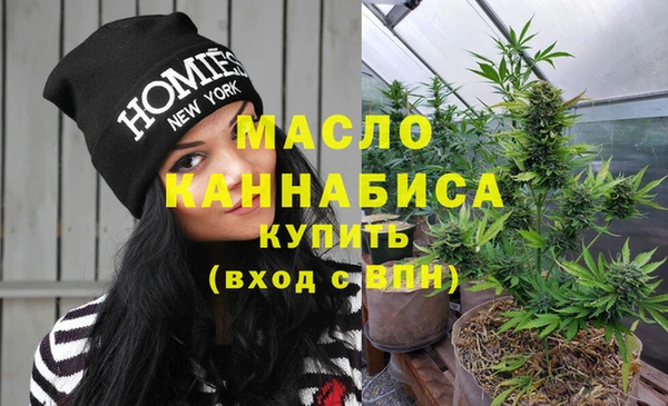 индика Верея